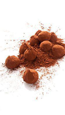 Truffes - Maison du Chocolat