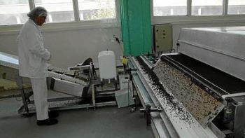 Fabrication "Chocolaterie de Provence"