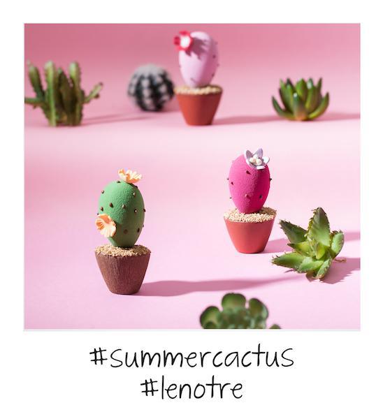 Pola Cactus par Lenôtre©