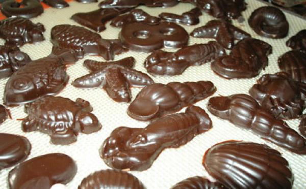 Le chocolat moulé