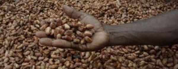 La Côte d’Ivoire sur le point de dépasser les Pays-Bas