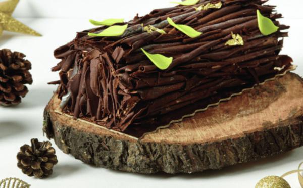 Balade dans la forêt Mauricienne au ROYAL PALM Beachcomber