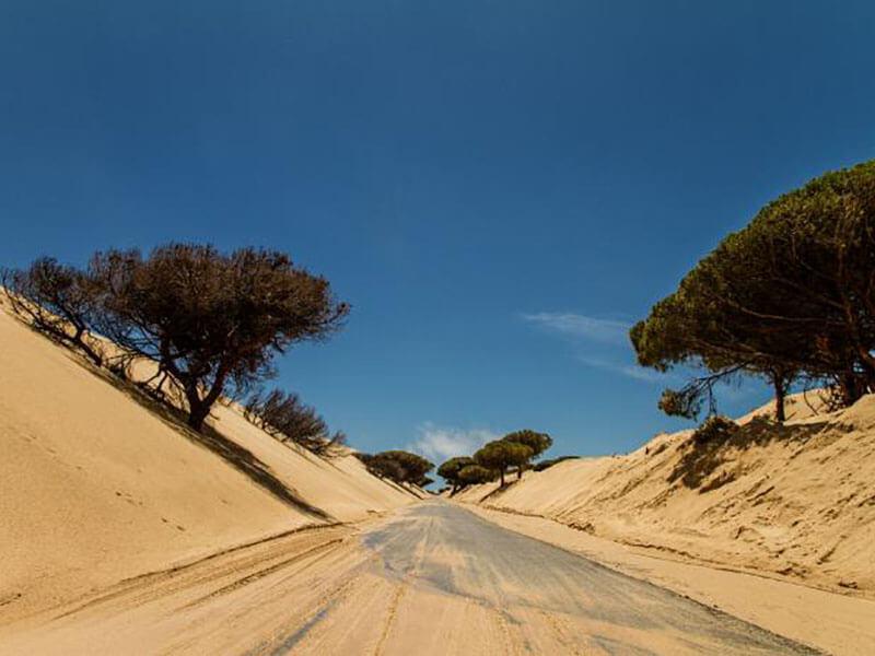 Tarifa