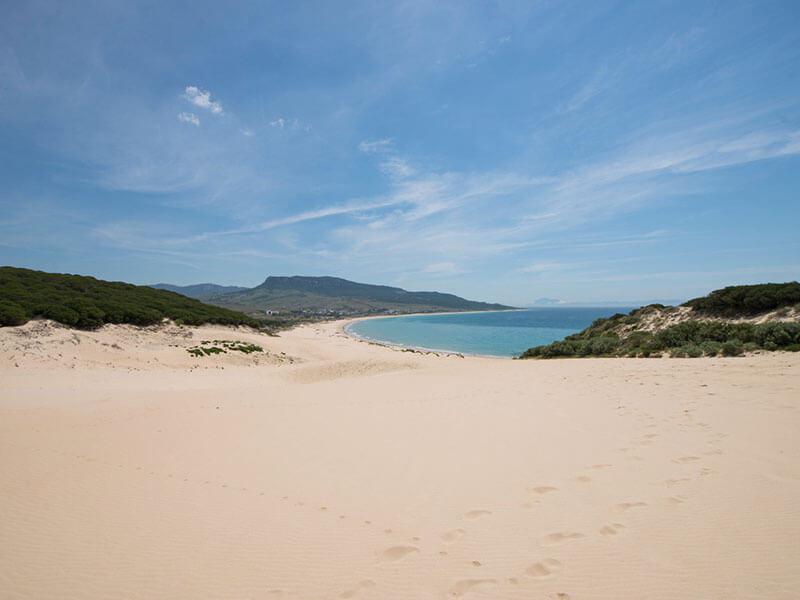 Tarifa
