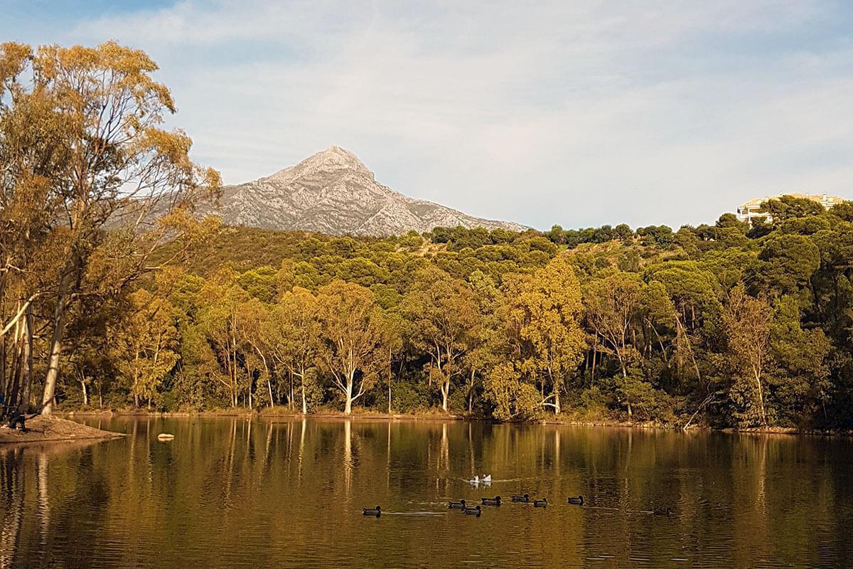 Pícnic junto al Lago de las Tortugas