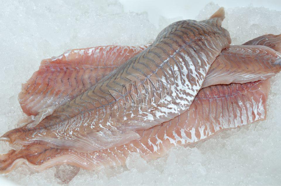Fisch-Feinkost-Imbiss Klene