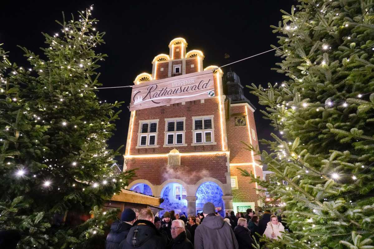 Rathauswald auch im neuen Jahr geöffnet