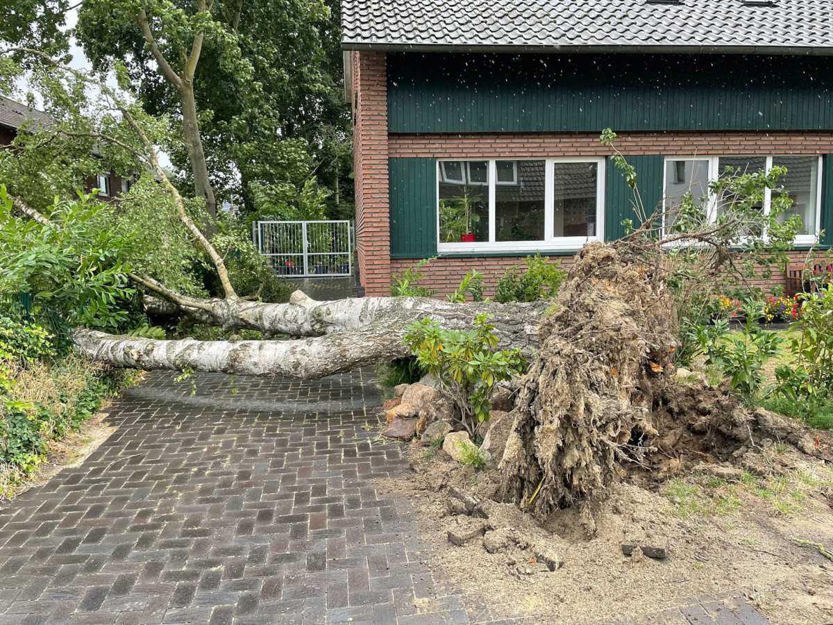 Sturmtief „Poly“ wütet auch im Emsland