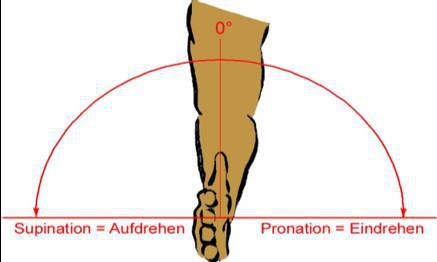 X-CARD 14: Sind Ihr Ellbogen und Ihre Hand fit ? X-CARD 14: Sind Ihr Ellbogen und Ihre Hand fit ?