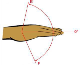X-CARD 14: Sind Ihr Ellbogen und Ihre Hand fit ? X-CARD 14: Sind Ihr Ellbogen und Ihre Hand fit ?