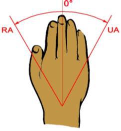 X-CARD 14: Sind Ihr Ellbogen und Ihre Hand fit ?