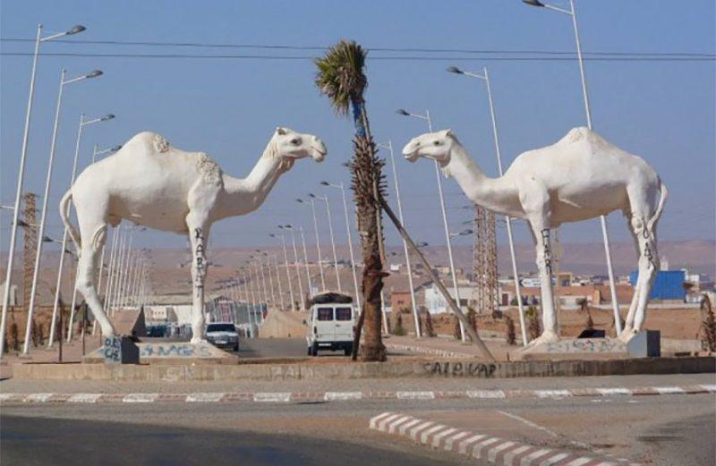 معرض "جماليات من الصحراء" يسعى إلى توثيق المورث الثقافي من خلال الإبداع التشكيلي (رئيس جمعية أصدقاء متحف الطنطان)