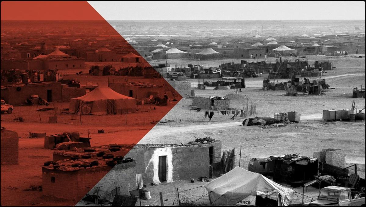 سقوط نظام الأسد: ضربة موجعة لآخر حلفاء البوليساريو في الشرق الأوسط سقوط نظام الأسد: ضربة موجعة لآخر حلفاء البوليساريو في الشرق الأوسط