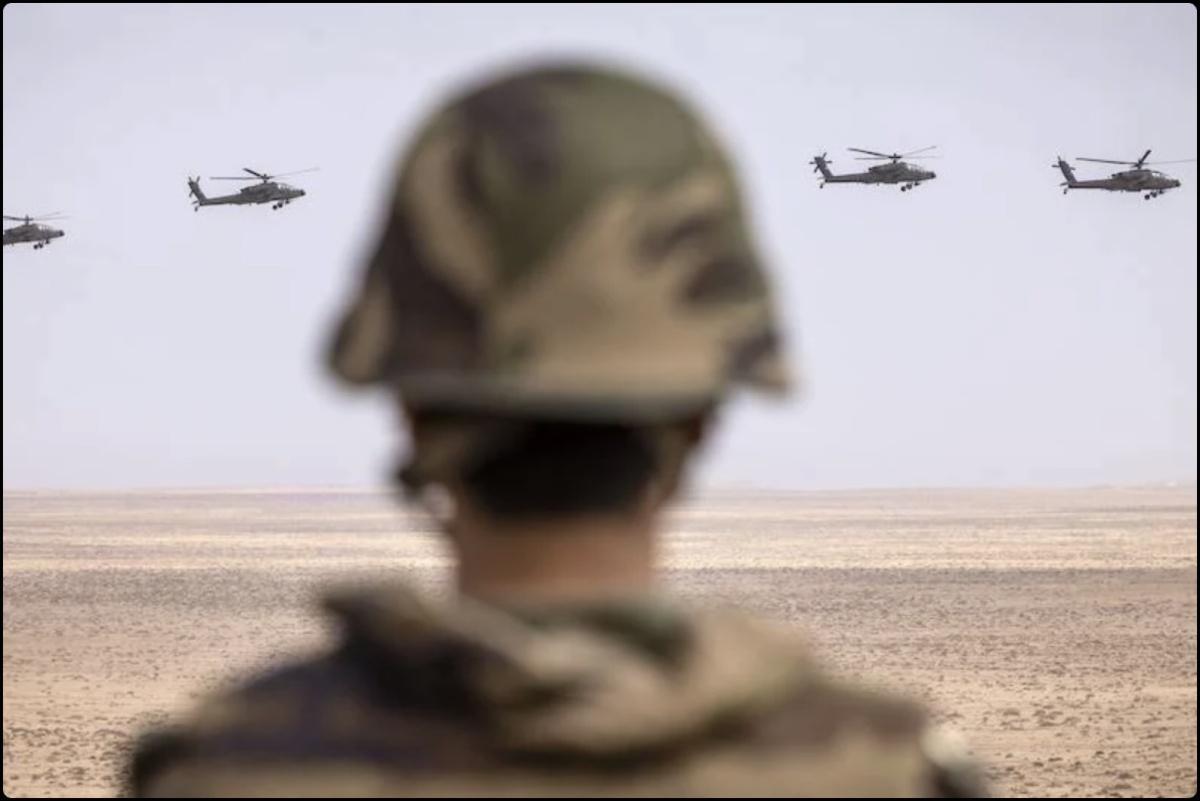 القوات المسلحة الملكية المغربية تتألق في التصنيف العالمي القوات المسلحة الملكية المغربية تتألق في التصنيف العالمي