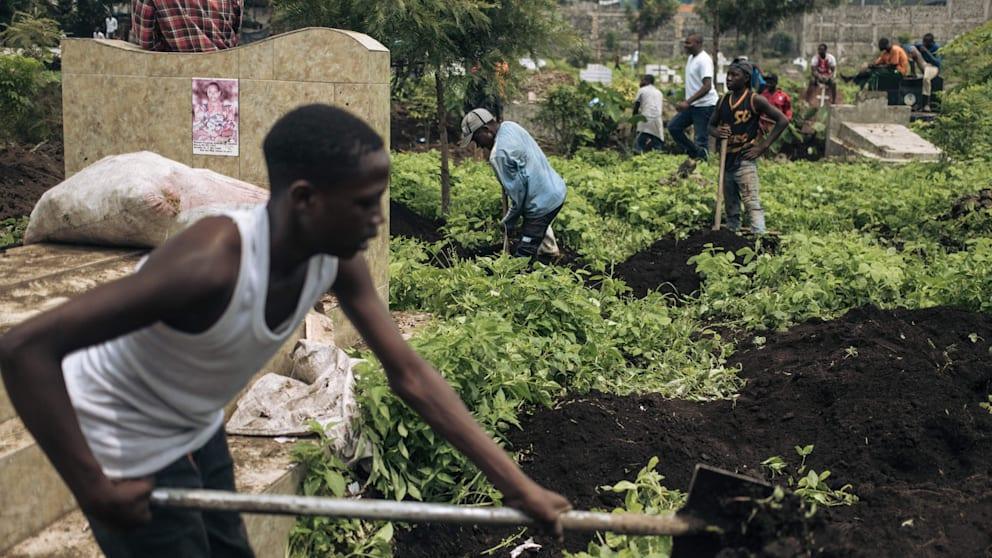 مأساة إنسانية في الكونغو: مئات الجثث في شوارع غوما والصليب الأحمر يتدخل مأساة إنسانية في الكونغو: مئات الجثث في شوارع غوما والصليب الأحمر يتدخل