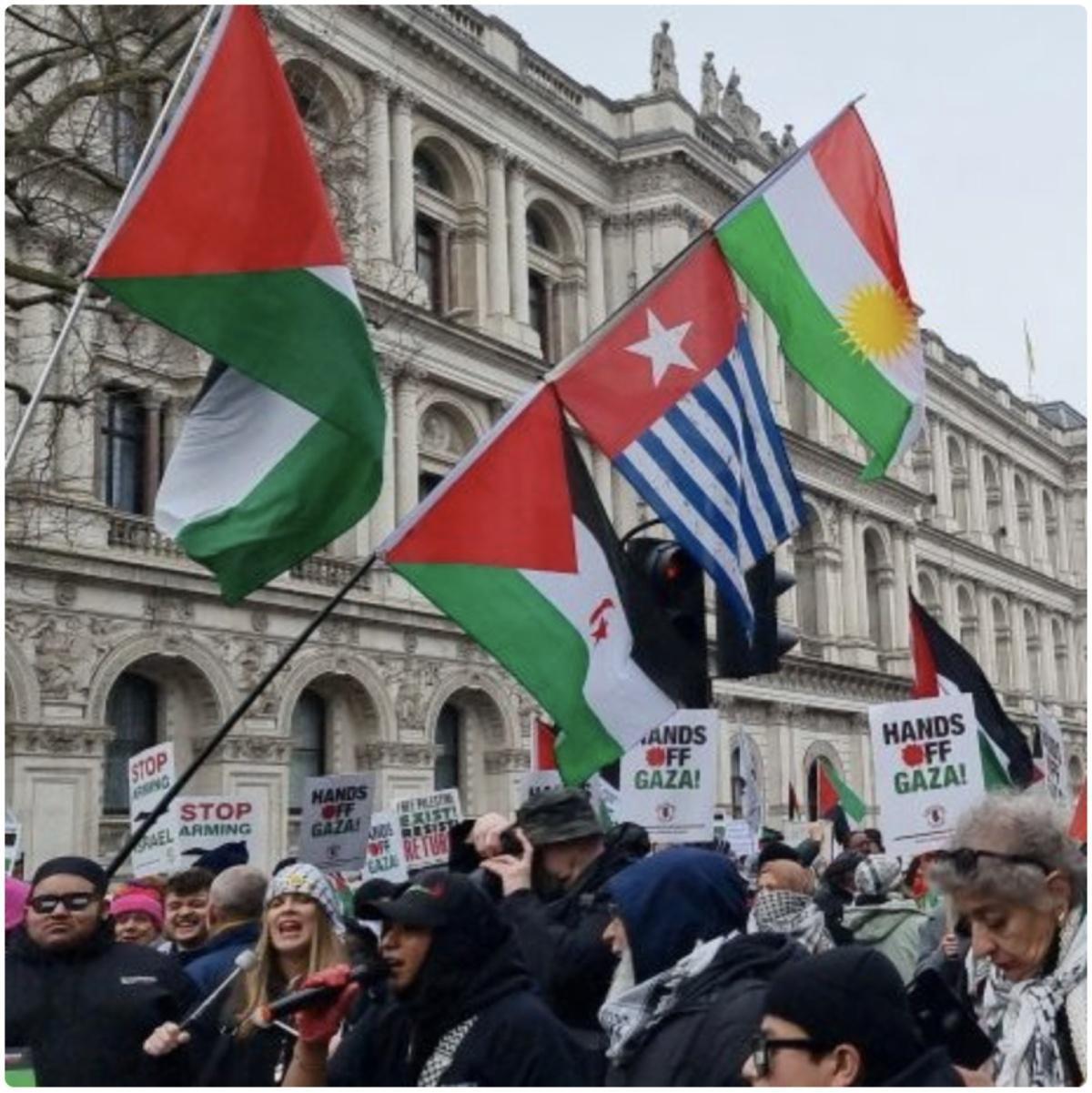 زعيم حزب العمال الكردستاني يعلن حل تنظيمه: ضربة موجعة لجبهة البوليساريو زعيم حزب العمال الكردستاني يعلن حل تنظيمه: ضربة موجعة لجبهة البوليساريو