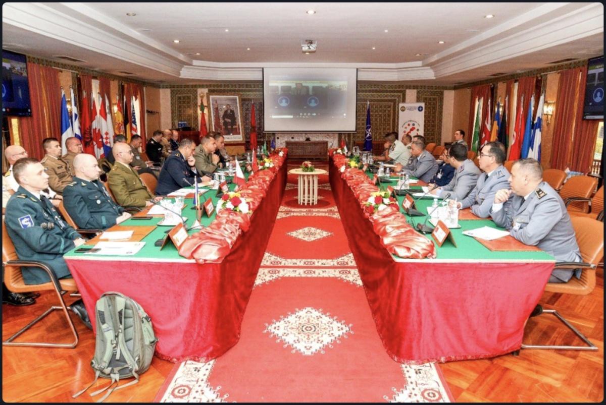 القوات المسلحة الملكية: المغرب، محور دفاع مزدوج بين باريس والناتو القوات المسلحة الملكية: المغرب، محور دفاع مزدوج بين باريس والناتو