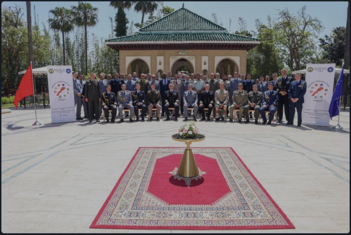 القوات المسلحة الملكية: المغرب، محور دفاع مزدوج بين باريس والناتو القوات المسلحة الملكية: المغرب، محور دفاع مزدوج بين باريس والناتو