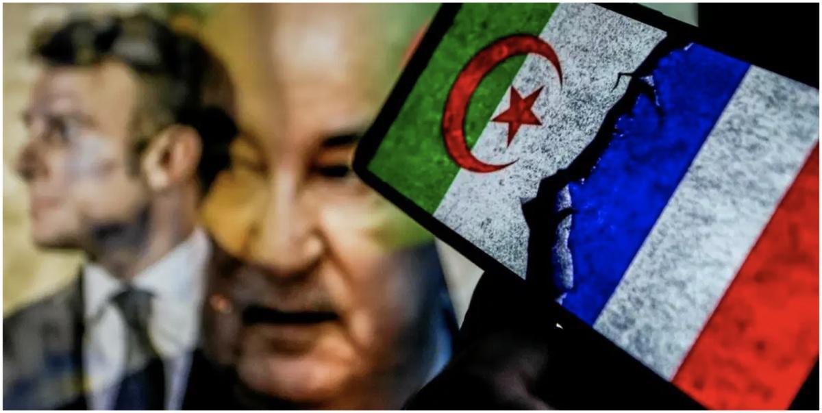 فرنسا تدرس تجميد أصول أكثر من 800 مسؤول جزائري، بينهم نجلا الرئيس تبون