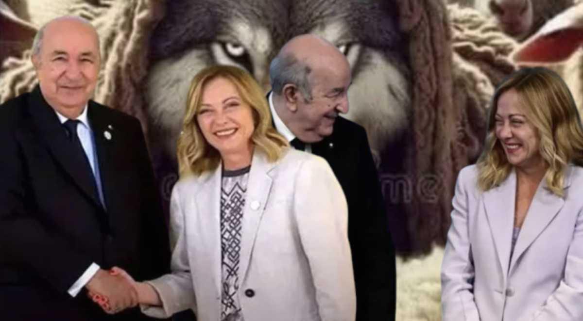 فشل دبلوماسي لرئيس الجزائر في إقناع إيطاليا بدعم موقفه حول الصحراء فشل دبلوماسي لرئيس الجزائر في إقناع إيطاليا بدعم موقفه حول الصحراء