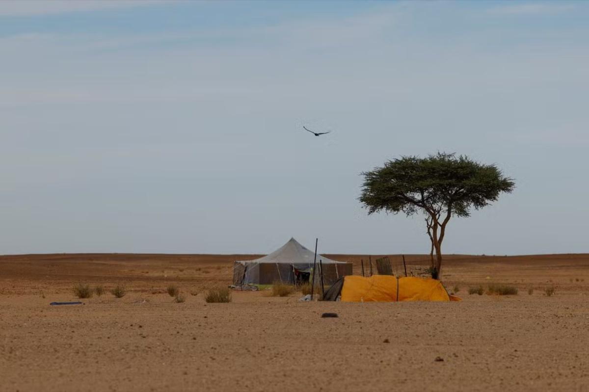 مخيمات تندوف: منظمات غير حكومية تنبه الأمم المتحدة حول التجنيد القسري للأطفال مخيمات تندوف: منظمات غير حكومية تنبه الأمم المتحدة حول التجنيد القسري للأطفال