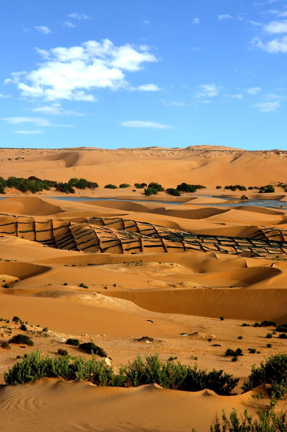 المغرب والقبائل الصحراوية: قراءة في الروابط التاريخية بين الذاكرة والقانون الدولي