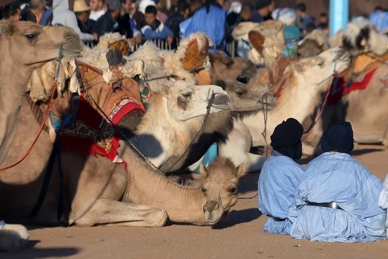 مشروع قانون إسباني بشأن تجنيس مواليد الصحراء يثير جدلاً سياسياً وقانونياً