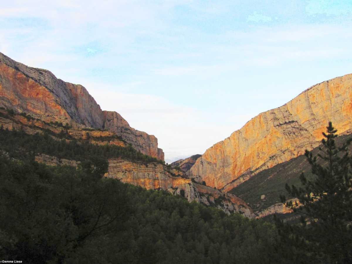 Fuente de Montfalcó Fuente de Montfalcó
