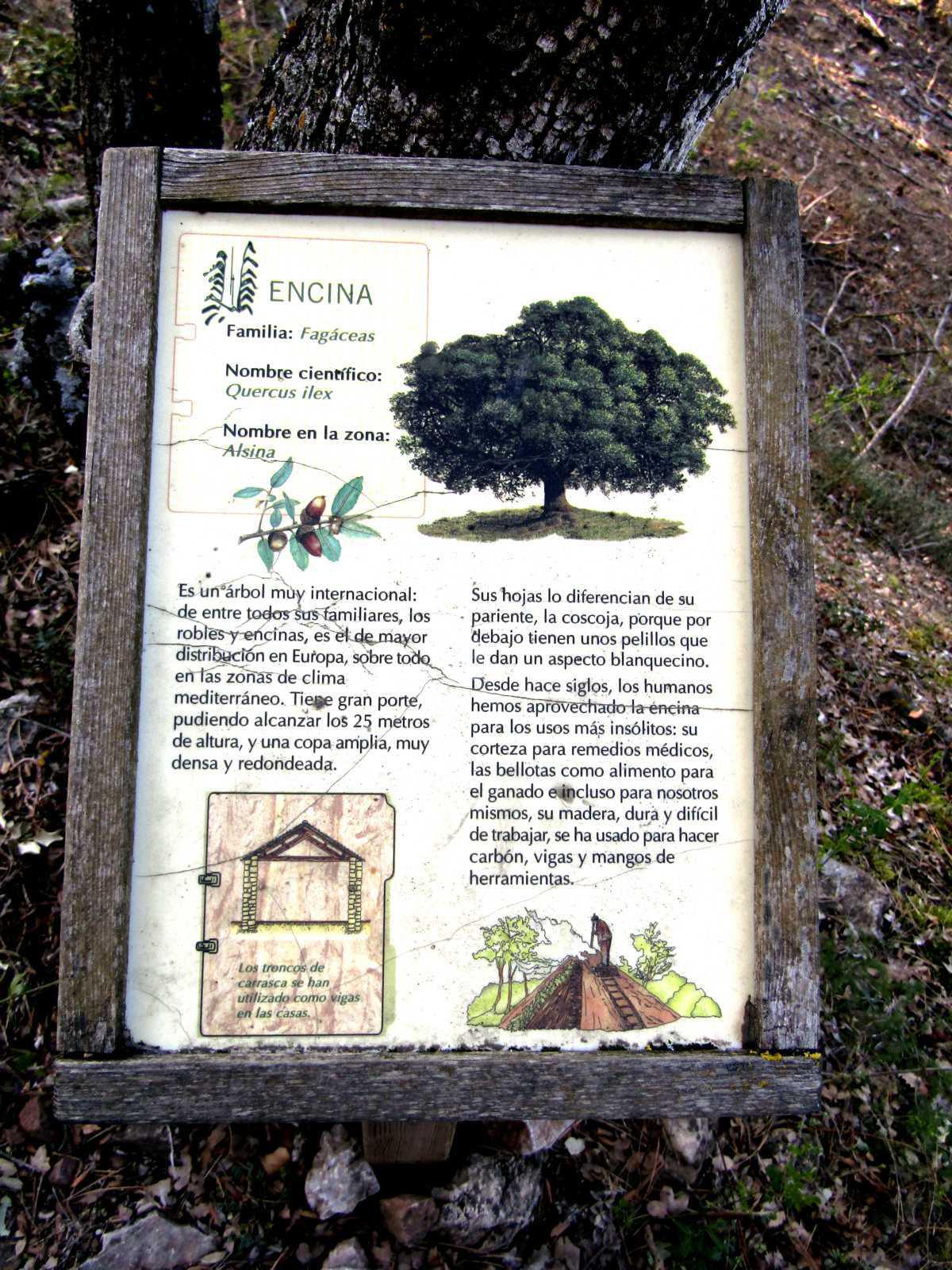 Fuente de Montfalcó Fuente de Montfalcó