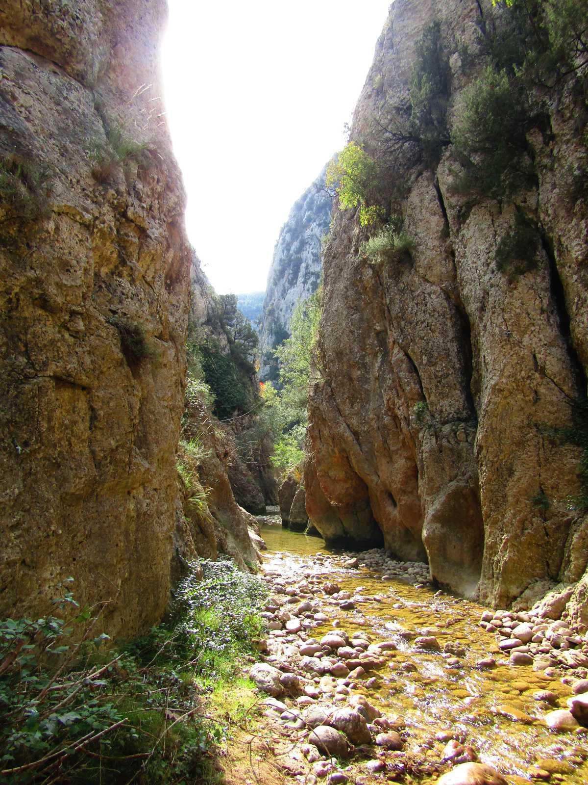 Ruta al Congost del Cajigar Ruta al Congost del Cajigar