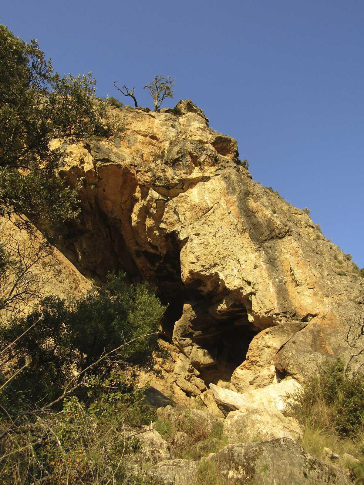 Cueva de Montfalcó (o de les Figues) Cueva de Montfalcó (o de les Figues)