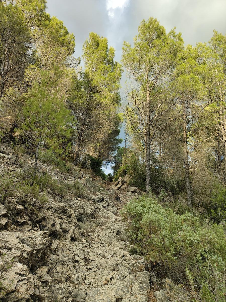 Camino natural de Montfalcó a Mont-rebei (pasarelas de Montfalcó)