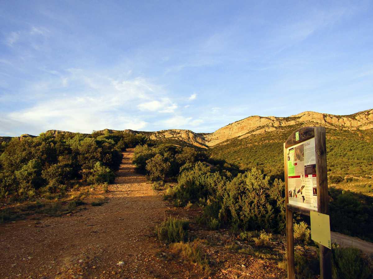 BTT 28: Viacamp - l'Estall - Montfalcó BTT 28: Viacamp - l'Estall - Montfalcó