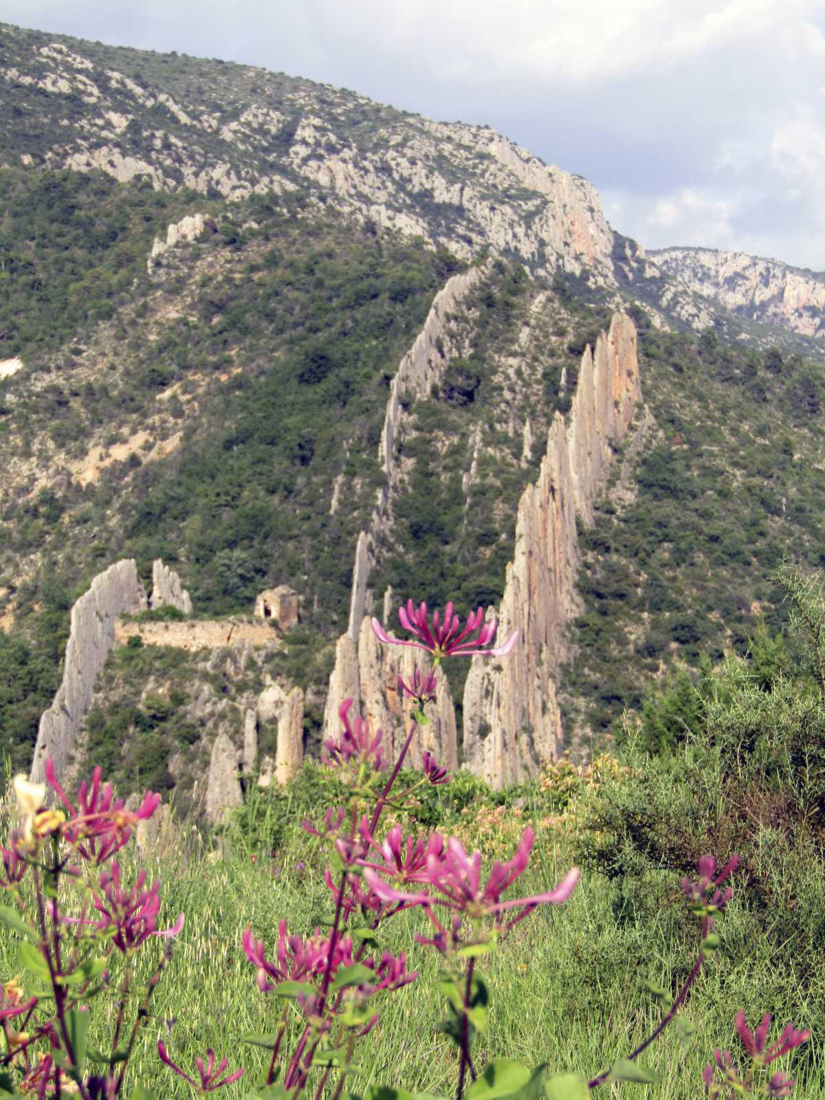 Ermita de San Vicente (Finestras) Ermita de San Vicente (Finestras)