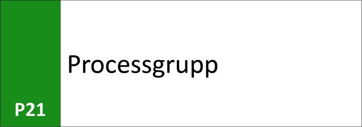 P21 Processgrupp P21 Processgrupp