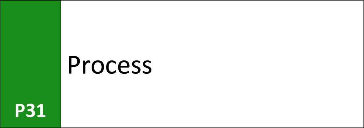 P31 Process P31 Process
