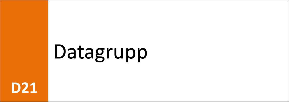 D21 Datagrupp D21 Datagrupp