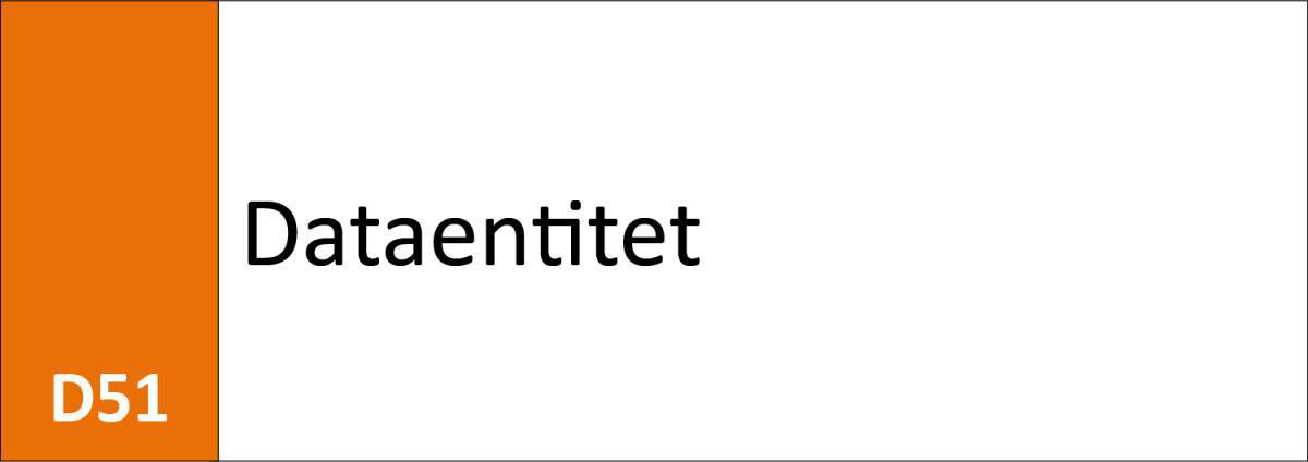 D51 Dataentitet D51 Dataentitet