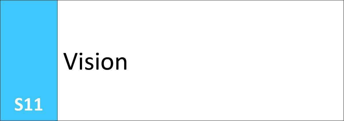 S11 Vision S11 Vision