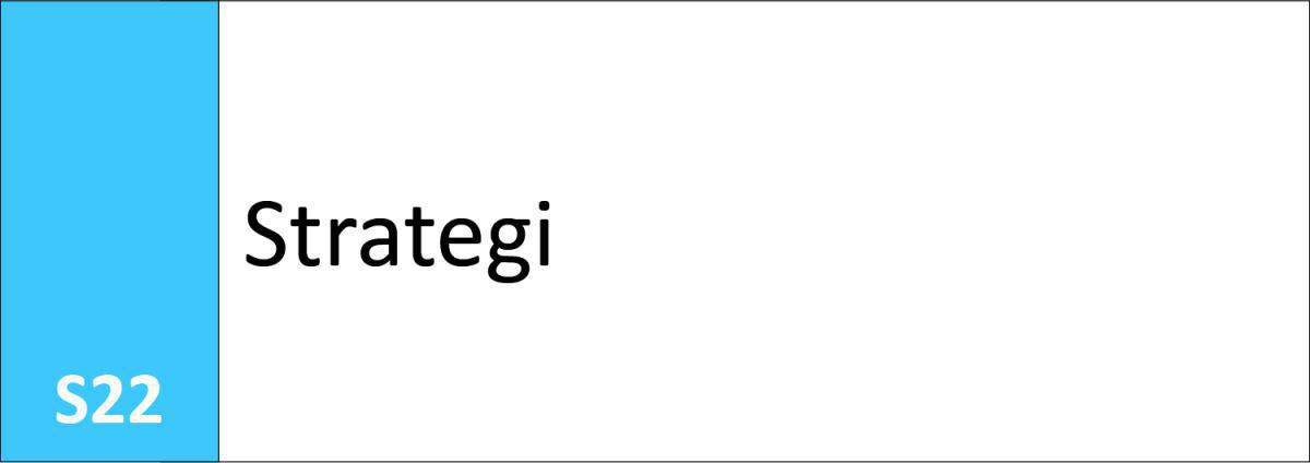 S22 Strategi S22 Strategi