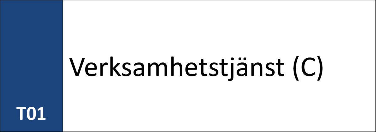 T01 Verksamhetstjänst (C) T01 Verksamhetstjänst (C)
