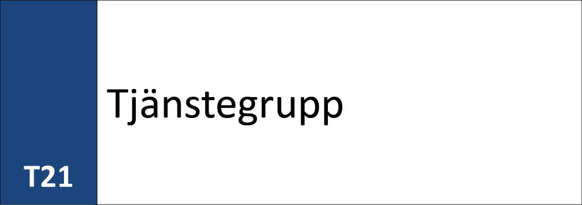 T21 Tjänstegrupp T21 Tjänstegrupp