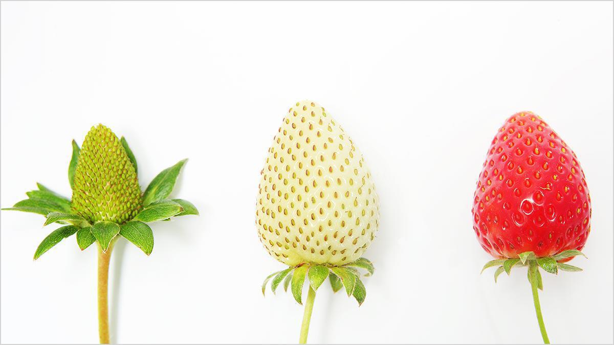 2021-08-20: Förändring över tid 2021-08-20: Förändring över tid