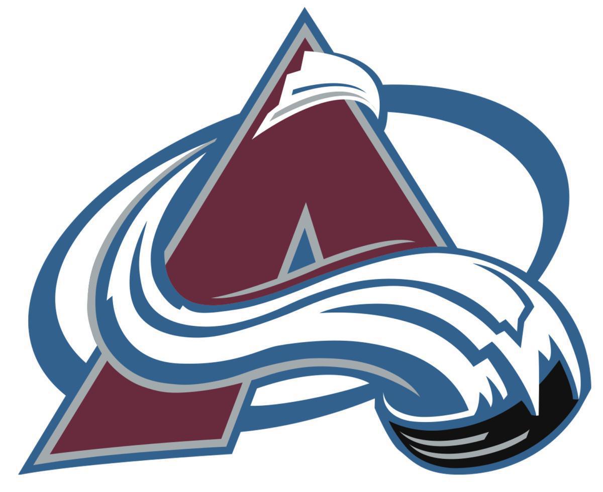 Quebec Nordiques - en studie av en organisation i utveckling Quebec Nordiques - en studie av en organisation i utveckling