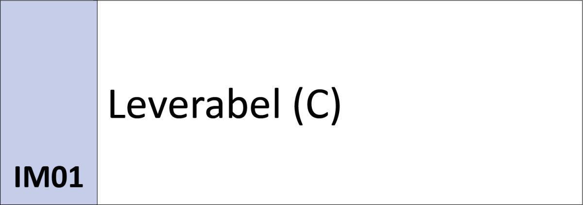 IM01 Leverabel (C) IM01 Leverabel (C)