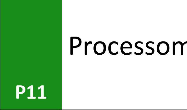P11 Processområde