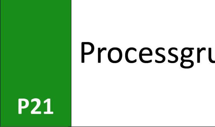 P21 Processgrupp