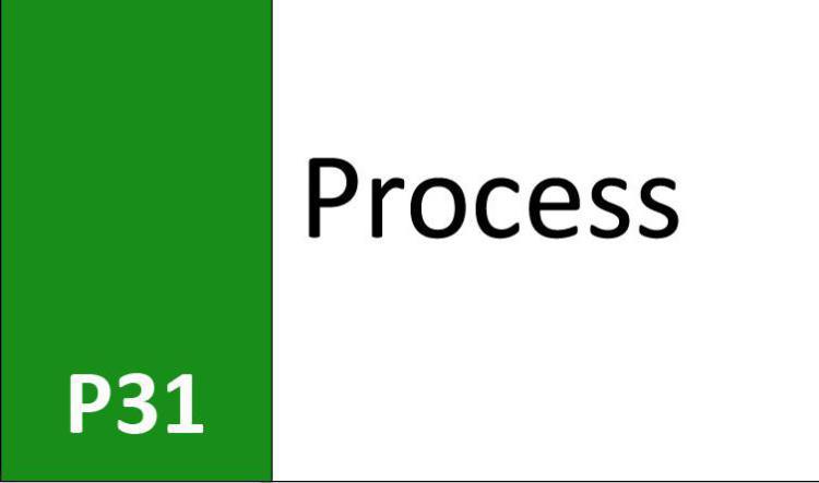 P31 Process