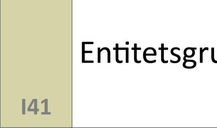 I41 Entitetsgrupp