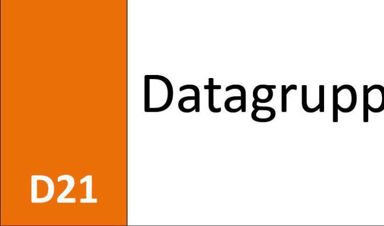 D21 Datagrupp